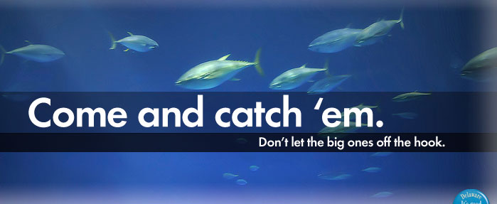See the Delaware Fishing Report for Tips & Details