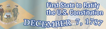 Image: Delaware State Flag