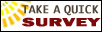 Delaware Website Survey