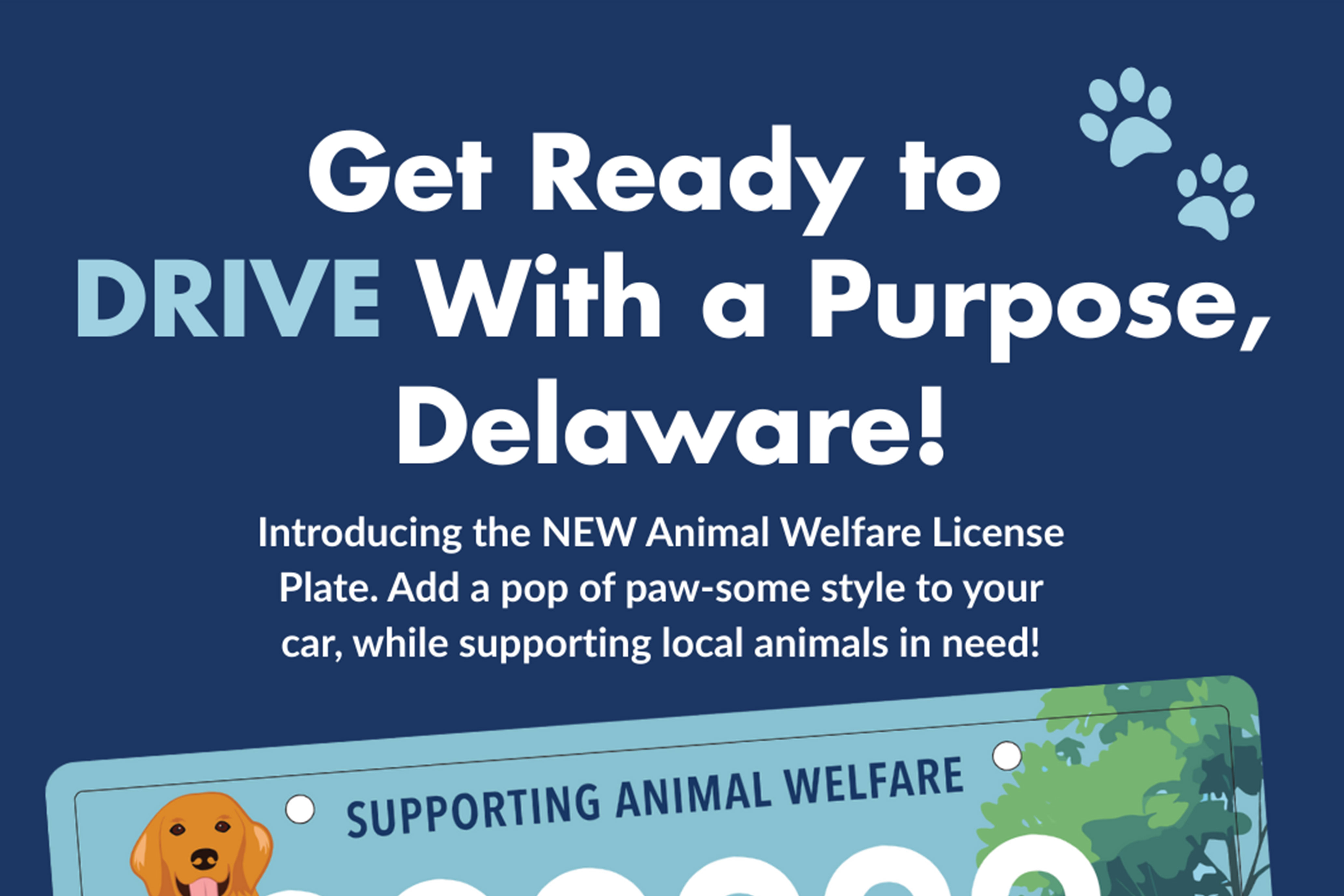 get ready to drive with a purpose