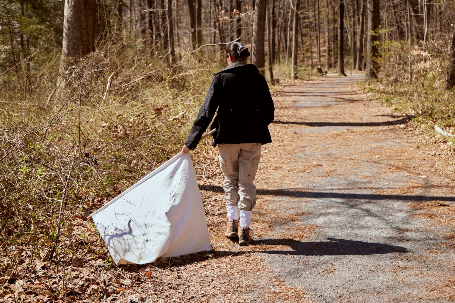 Person walking outside in a forest