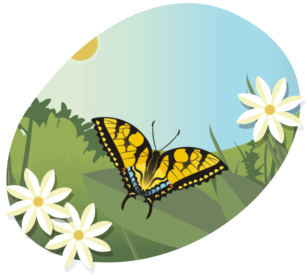 An illustration of the state butterfly, the Tiger Swallowtail, a yellow, blue and black butterfly sits on top of a leaf gently flapping it’s wings.