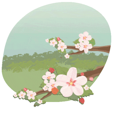 Illustration of branches of the Peach tree with Peach Blossom flowers on the branch swaying in the wind.