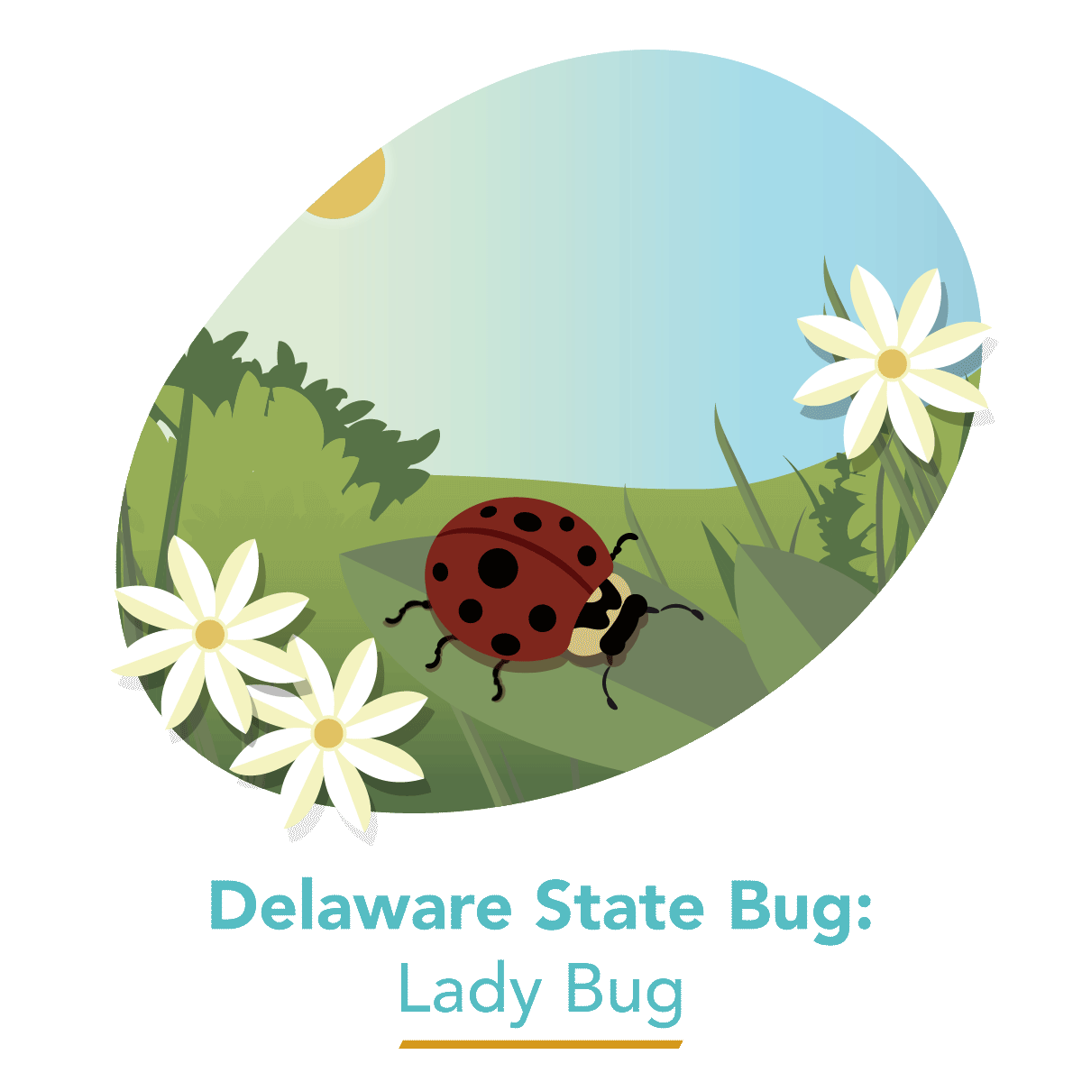 State Bug - Lady Bug