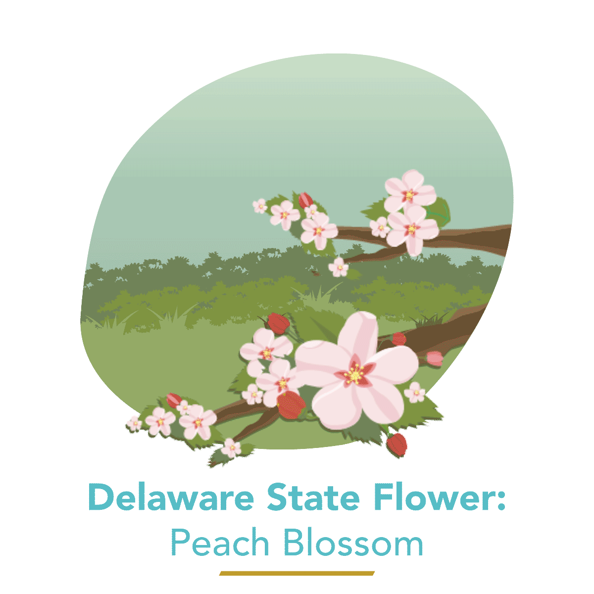 State Flower - Peach Blossom