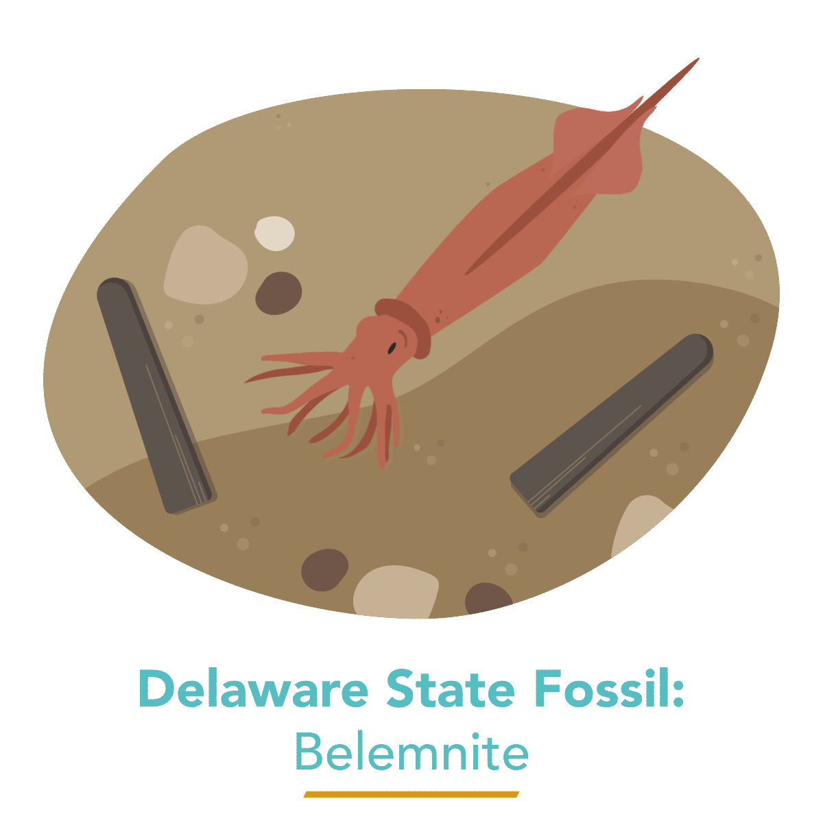 State Fossil - Belemnite