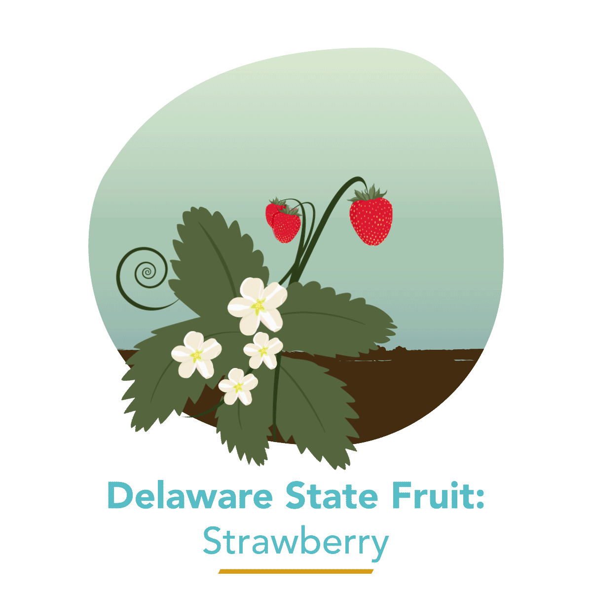 State Fruit - Strawberry