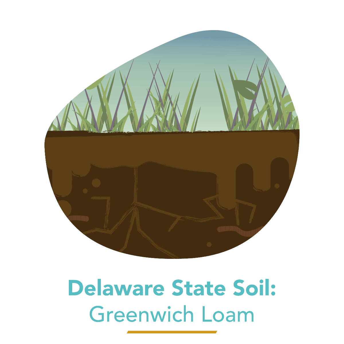  State Soil - Greenwich Loam