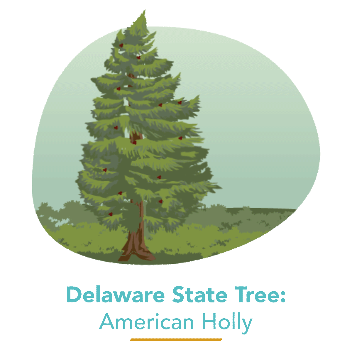 State Tree - American Holly