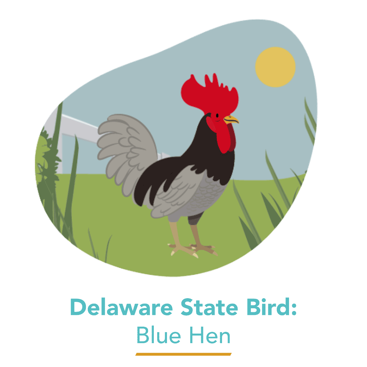Blue Hen - Delaware's State Bird