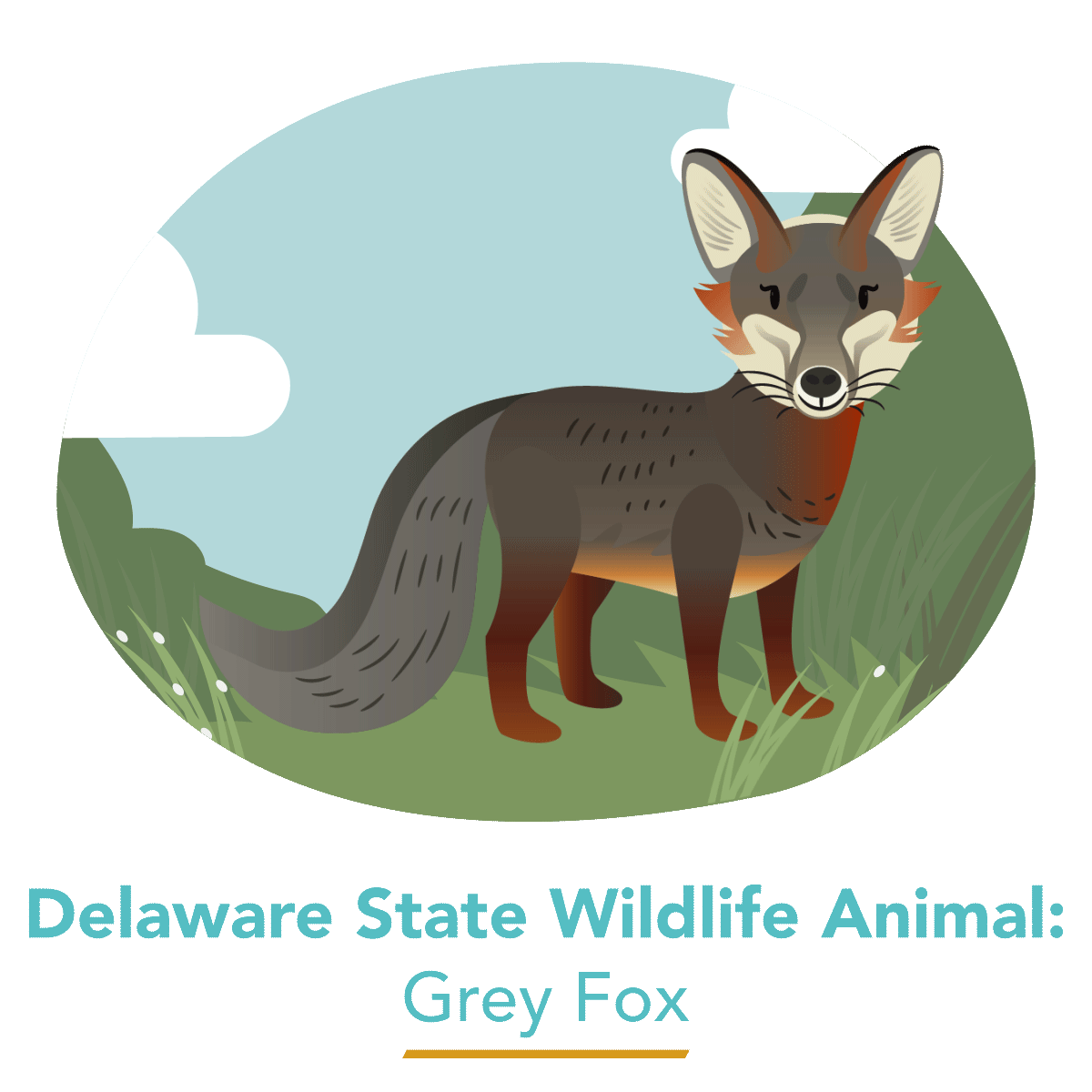  State Wildlife Animal - Grey Fox